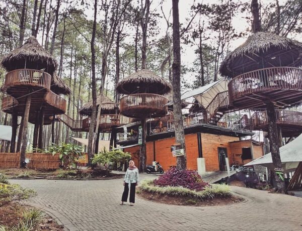 Kopeng Treetop Adventure Park