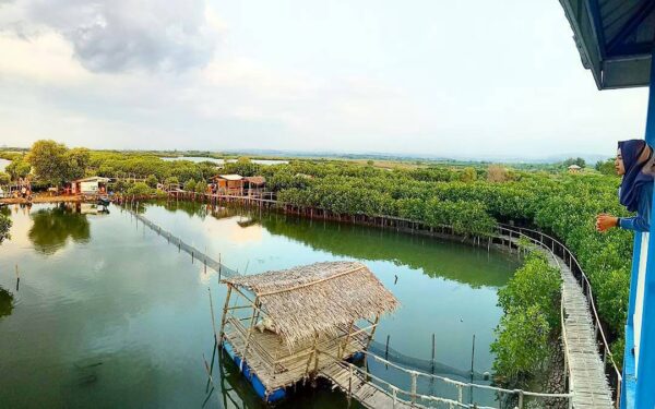 Wisata Hutan Mangrove Edupark Semarang