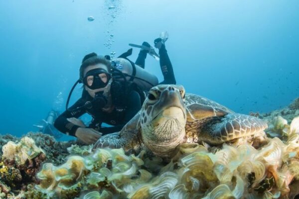 Keindahan Wisata Gili Air Lombok