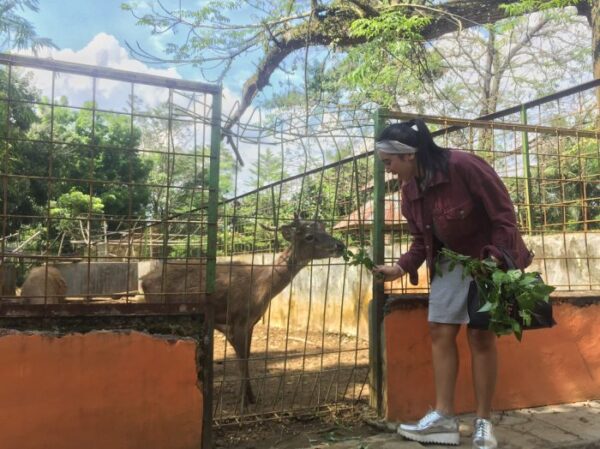 Jalan Jalan Ke Medan Zoo