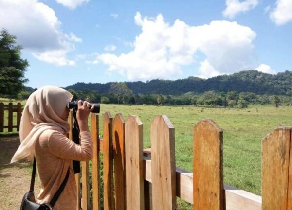 Taman Nasional Alas Purwo