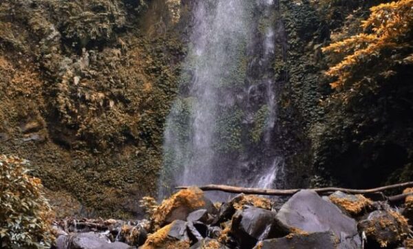 Jalan Menuju Curug Sawer