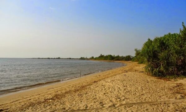 Jalan Menuju Wisata Pantai Pailus Jepara dan Potret Keindahan di Sekitar Area