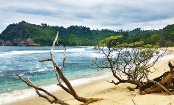 Menikmati Keindahan Pantai Ngalur Tulungagung dan Bagaimana Akses Jalan Menuju Ke Lokasi