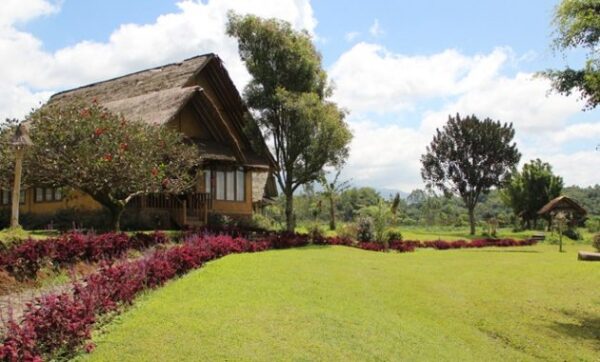 8 Rekomendasi Homestay di Daerah Garut Yang Bagus dan Bersih Ini Mulai 75 Ribu Saja