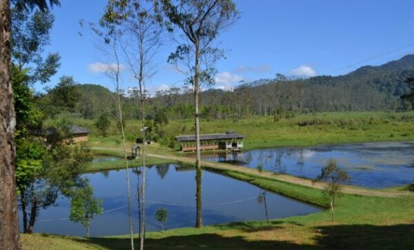 5 Rekomendasi Resort Daerah Ciwidey Dengan Keindahannya di Malam Hari Yang Membuat Liburan Makin Mengesankan