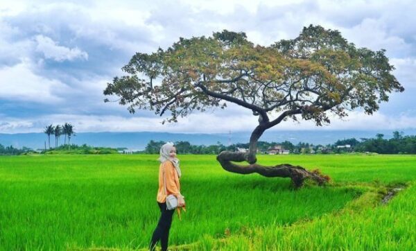 Objek tempat wisata di salatiga jawa tengah dan sekitarnya obyek jateng kopeng alam kota daftar yang ada sekitar dreamland salib putih bukit cinta arrowhead park lokasi malam menarik desa gambar biro perjalanan taman wahana air terjun keluarga pegunungan