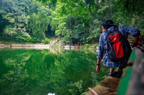 Wisata Rowo Bayu Songgon Banyuwangi