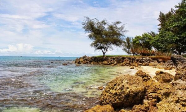 Gambar pantai carita anyer banten tiket masuk lokasi wisata cottage villa hotel harga murah dekat penginapan resort kondominium selatan terletak di provinsi pasir putih mitos pandeglang letak foto mutiara matahari karangsari lombok lippo sejarah tempat asal usul rute alamat archipelago peta paket liburan sewa rakata objek tour terdapat indonesia serang beach karangsari 2021