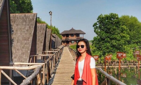 Harga tiket masuk hutan mangrove pik 2 pantai indah kapuk alamat jakarta utara wisata naik busway angkutan umum ke lokasi taman rute jalan menuju foto hotel villa cara penginapan prewedding buka jam dimana bawa kamera naik motor angker ada buaya