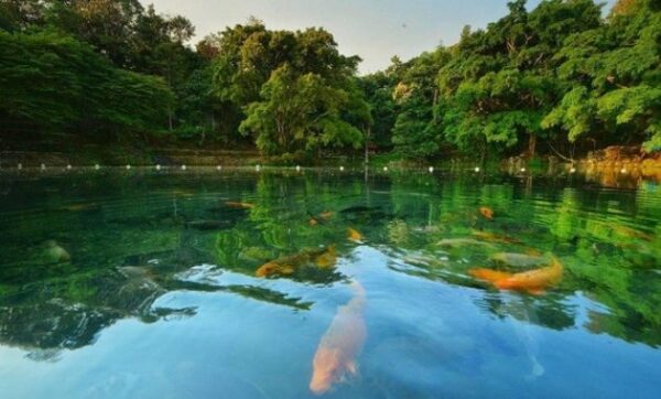 Situ Cicerem Telaga Biru Kuningan