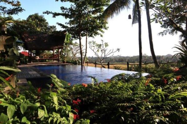 Omah Apik, Staycation Bernuansa Alam Pedesaan di Bali