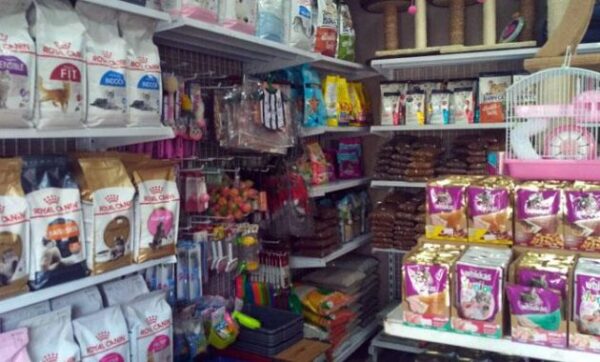 Petshop di jakarta timur kota daerah khusus ibukota millenial murah royal sandika go alamat bagus pet shop cipayung terlengkap lowongan kerja tempat jatinegara terdekat grooming jangki 24 jam jual kucing jj kelinci