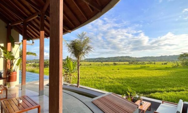 Villa Jogja Senang, Hidden Gem Dengan Infinity Pool Yang Menyuguhkan Pemandangan Sawah Hijau