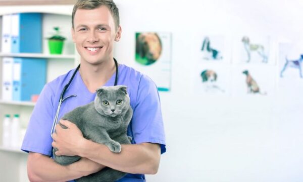 10 Rekomendasi Dokter Hewan Terdekat Yang Bisa Pet Lovers Andalkan Saat Anabul Terserang Sakit