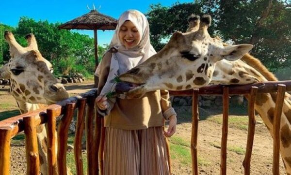 Rekreasi Edukasi Familiable Untuk Si Kecil di Taman Safari Prigen Pasuruan, Termasuk Harga Tiket Masuk